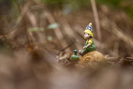 kabouterpad gramsbergen