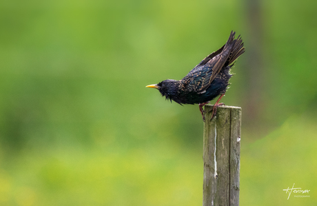 Ready for take-off...