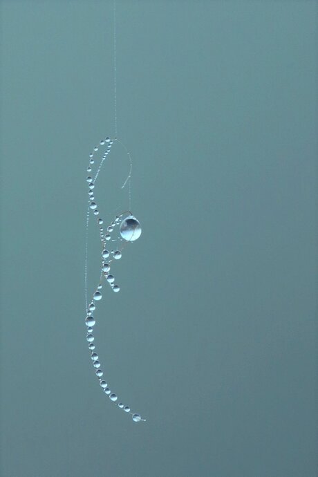 Gouttes d'eau.