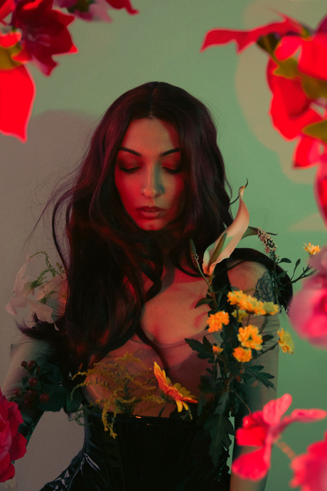 In full bloom