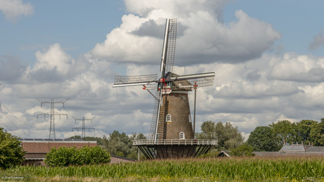 Molen "De drie Waaien"