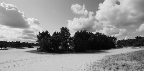 De Haere zandverstuiving