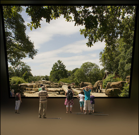 gezichtsbedrog??...............................