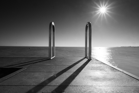 Steiger in het zonnetje