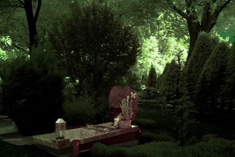 Ethereal Necrography