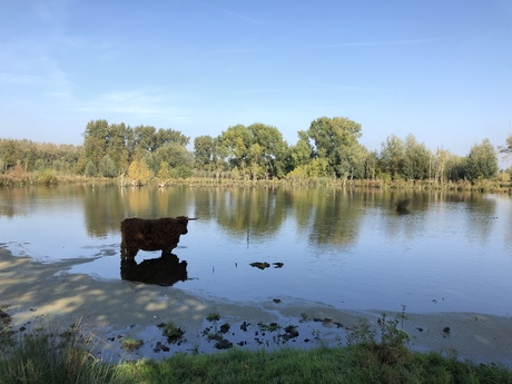 Zou ik nog verder gaan…