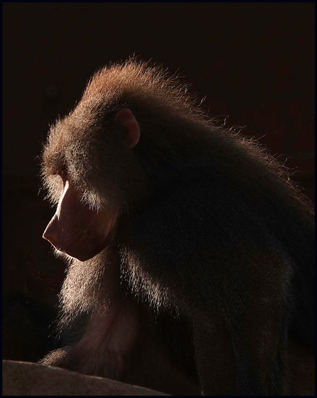 overpeinzingen.........................