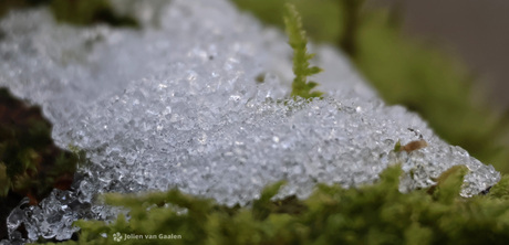 Sneeuwkristallen