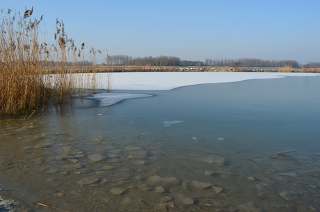 Echte winter