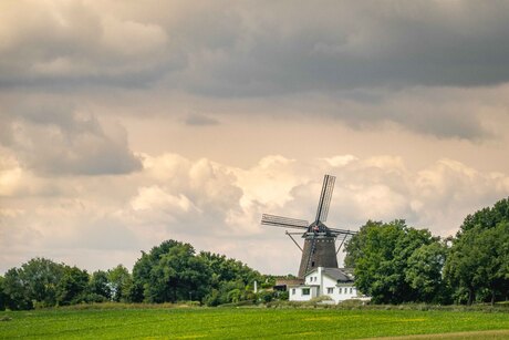 Lucht en molen