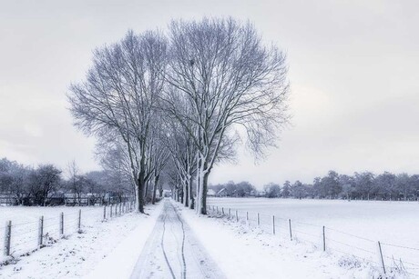 Winters landschap