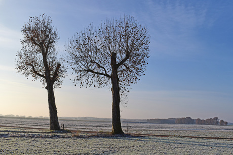 samen in de vrieskou