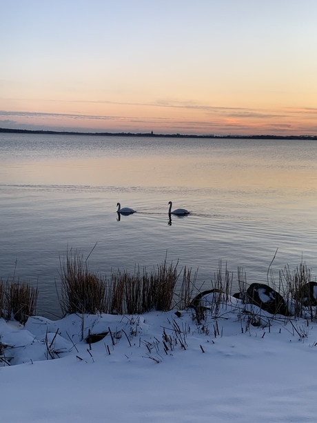 Mooi winters plaatje