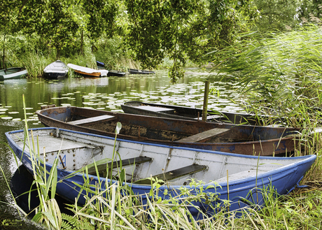 Vissersbootjes bij de Haarsteegse Wiel (n-Br.)