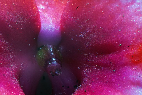 AbStracT 07