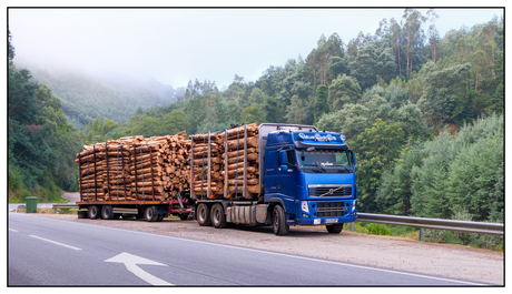 Volvo,  houttransport in Portugal