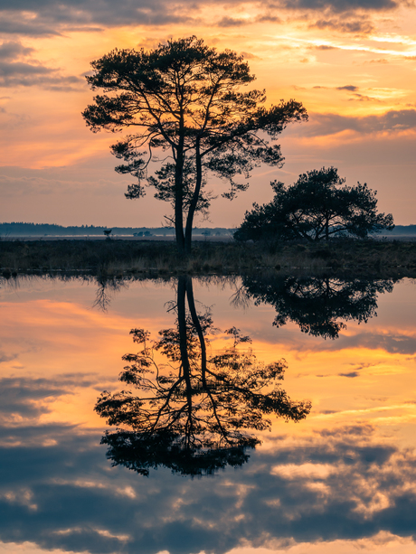 Weerspiegeling.