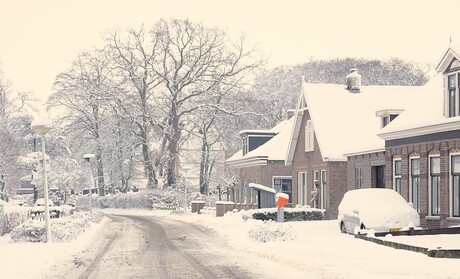 SNEEUW LANDSCHAP