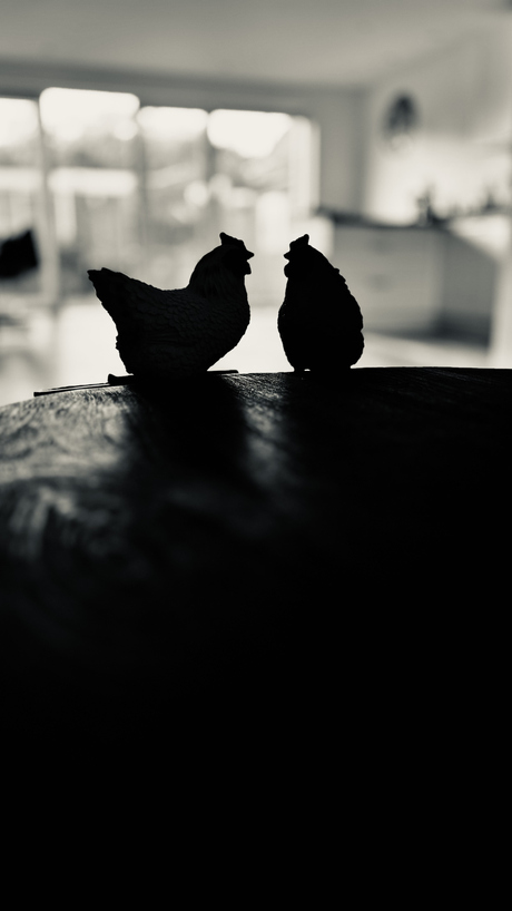 Duisternis