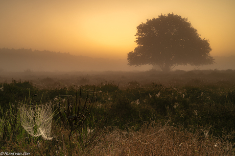 06:26u op de Westerheide, wat een rust