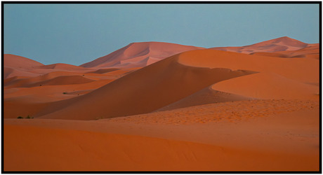 Sahara