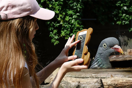 het oog wil ook wat............................