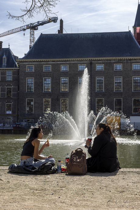 Lunchbreak bij de Hofvijver