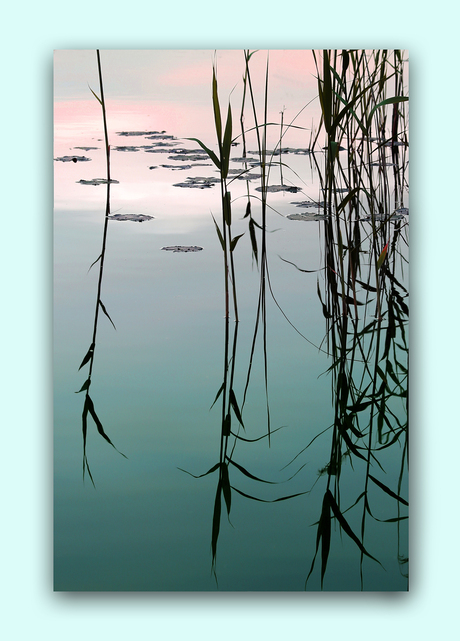 Spiegeling