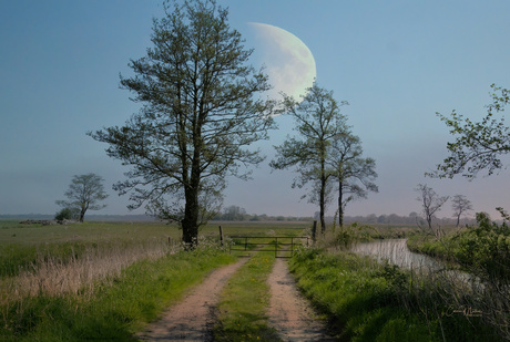 Fries landschap bij avond 