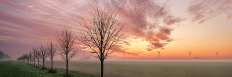 Zonsondergang boven de polder