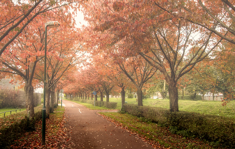 Herfst in Houten