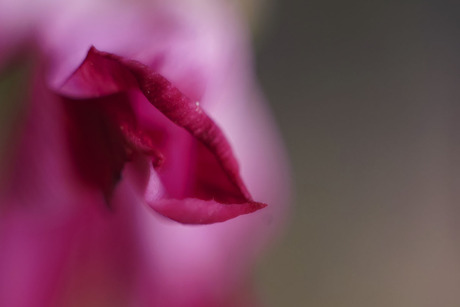 AbStracT 04