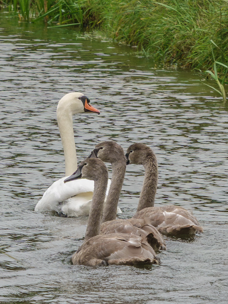 Ma aan de sprint ---