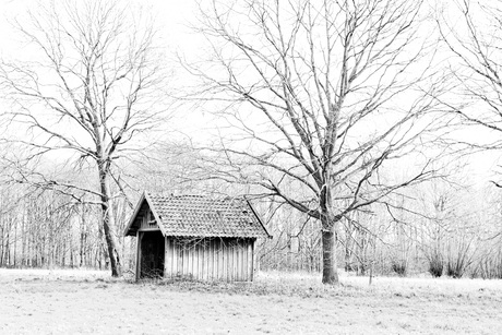 Stalletje in het bos