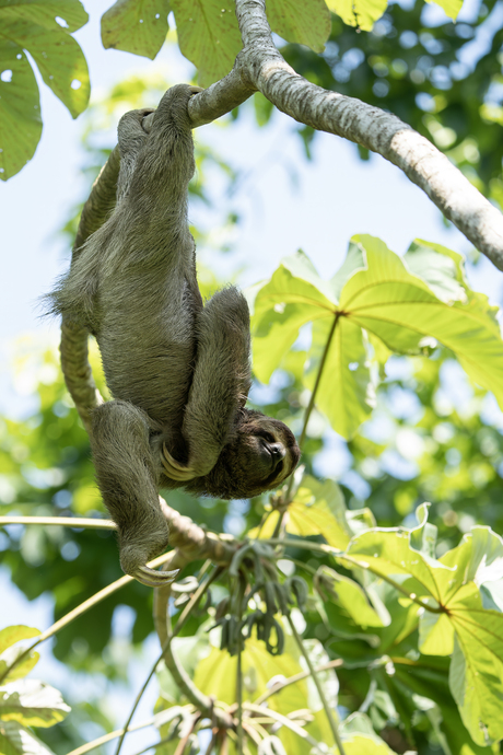 Hangin around