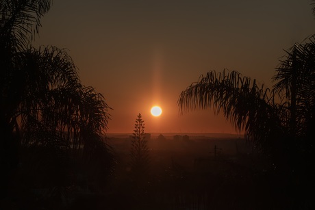 Sunset 