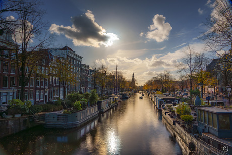 Natuur midden in Amsterdam