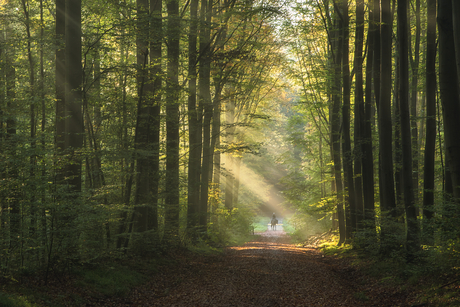 Mooi herfst