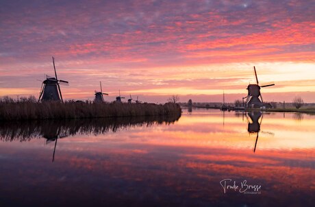 Kinderdijk 