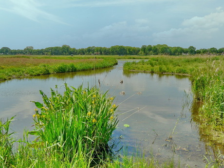 Polder