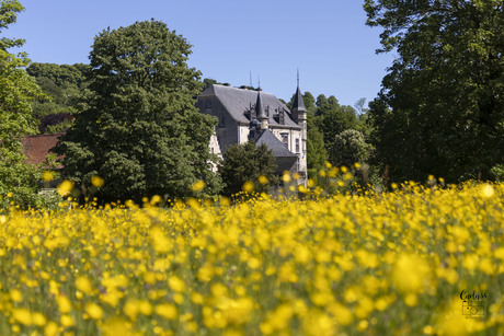 Kasteel Schaloen