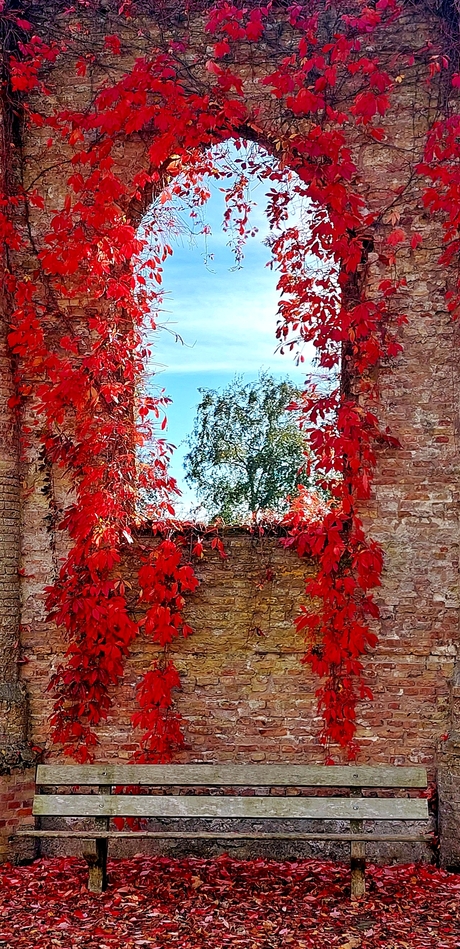 Herfst in de ruïne.......
