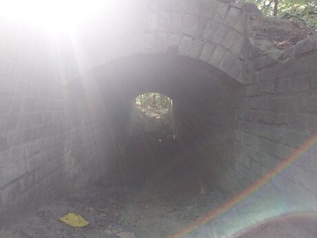 Een van de vele bunkers uit de 2de WO in de duinen. Dit is in park Leeuwenhorst. 