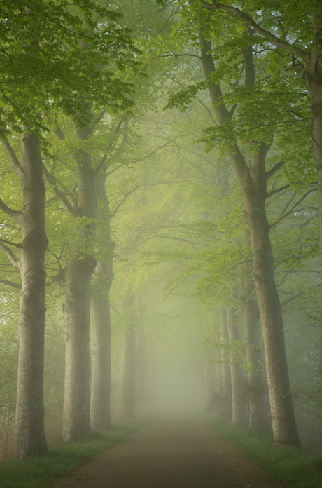 Lentegroen