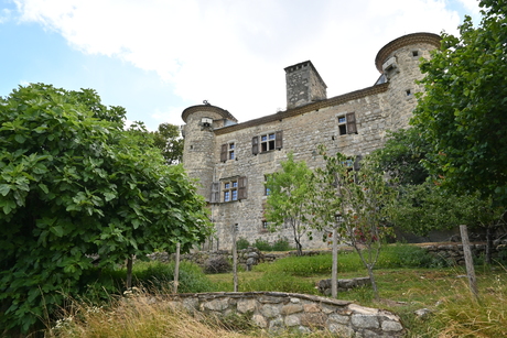 Kasteel bij daglicht