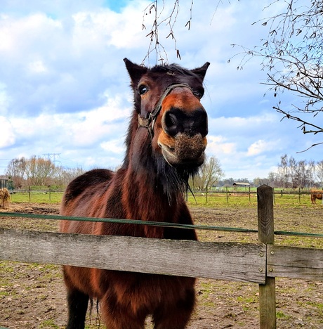Kusje erop, nee merci