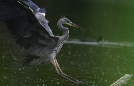 Landing