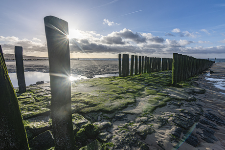 Paalhoofden strand Zoutelande