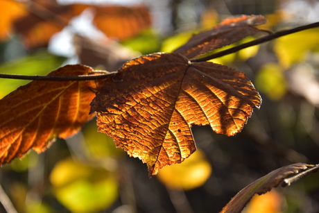 Sun and shadow