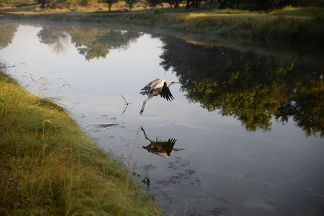 Reiger takeoff 